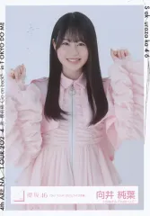 【中古】生写真(乃木坂46) 向井純葉/上半身/櫻坂46ランダム生写真【「3rd TOUR 2023」ライブ衣装】