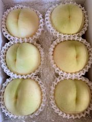 数量限定！注文順収穫！自然肥料のみ！こだわりの清水白桃 大玉 - メルカリ