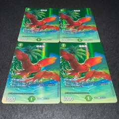 2025年最新】極楽鳥の人気アイテム - メルカリ