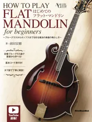 美品　フラットマンドリン　IRIN セット 発掘 - 新登場ブランド 美品 フラットマンドリン IRIN セット