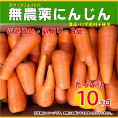 無農薬人参洗いジュース用10kg(保存袋プレゼント)