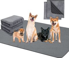 Item thumbnail for item fc06b2ae-fb43-439c-99f1-63aecbcb8716