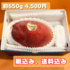 ★希少 玉文マンゴー秀品 1玉 約650g