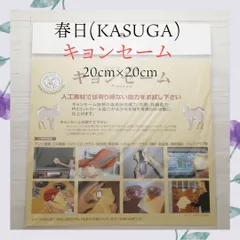 2025年最新】春日楽器の人気アイテム - メルカリ