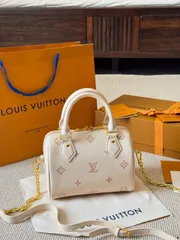【今日特価】Lv Speedy ピローバッグ-WTO輸入1