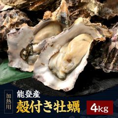 【7月上旬～中旬配送】能登産 殻付き牡蠣 加熱用（復興支援）大容量4kg 36～44粒前後/10-16人前※加熱用 お中元 敬老の日 お歳暮 ギフト プレゼント カキ 2キロ お取り寄せグルメ 海鮮 旬の味覚 鍋セット バーベキュー BBQ カンカン焼き