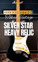 2025年最新】tokai silver starの人気アイテム - メルカリ