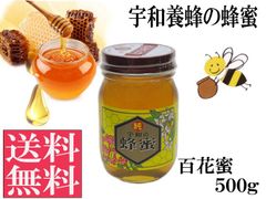 百花蜜500g 非加熱 生はちみつ 国産 純粋 送料無料