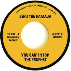 JERU THE DAMAJA & grooveman spot EPレコード JERU THE DAMAJA & grooveman spot EPレコード レコード