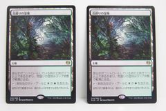 マジック：ザ・ギャザリング、MTG カード等