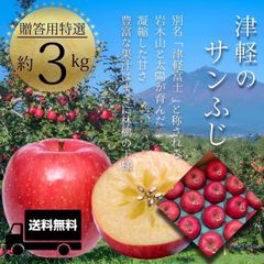 青森県産 ＂ サンふじ ＂ りんご【贈答用特選3kg】【化粧箱】【送料無料】【産地直送】お歳暮 ギフト リンゴ 林檎