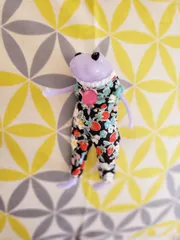 No.716　ワンダコス　ジャクシー　ロンパース　いちご柄　A　#ワンダーフロッグ　#ジャクシー　#紫陽花　#カエル　#おしゃれかえる　#匿名配送対応分　20240615-01