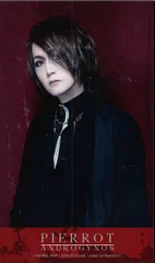 Y*a様 新品ANDROGYNOS - THE FINAL WAR - DVD ANDROGYNOS – THE FINAL WAR – | DIR EN GREY OFFICIAL SITE