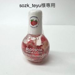 sozk_teyu様専用