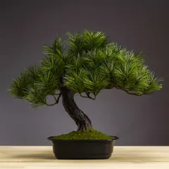 【新品※ショップ出品】光触媒 人工盆栽 アレンジ盆栽 富士の松 盆栽 松 人工 インテリア 置物のサムネイル