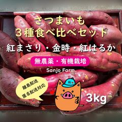 離島対応★熟成さつまいも3kg 3種食べ比べセット 金時芋 紅はるか 紅まさりのサムネイル
