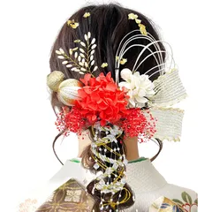 [JZOON] 髪飾り 9色展開 成人式 髪飾り ドライフラワー 袴 卒業式 和装 結婚式 振袖 プリザーブドフラワー 金箔 紐アレンジ 水引 和玉 赤 A1606