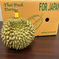 [毎週入荷、入荷次第出荷] 1個 生鮮 フレッシュ タイ産 ドリアン  Mサイズ
