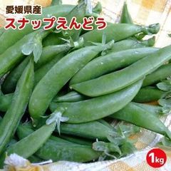 【愛媛県大洲産】スナップえんどう　1ｋｇ（送料無料）