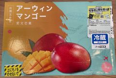 Spain様専用_台湾愛文マンゴー(アップルマンゴー)５kg/箱 冷蔵便発送