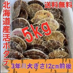 北海道産 活ホタテ 生食 殻つきホタテ バーベキュー 5kg 35-40枚前後