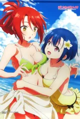 reバース　PP 志野亜貴　サイン　激レア Amazon.co.jp: 先着1名PP 志野 亜貴サイン入り リバース 激高確