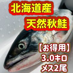 生秋鮭➡️期間限定【9月10月】販売予定。