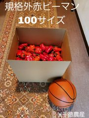 規格外赤ピーマン100サイズ段ボール(大きすぎ、サイズ不足、軽微なキズ等)