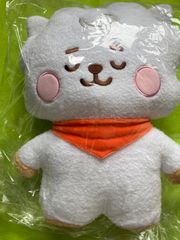 BT21 공식 탄톤 베이비 봉제인형(네톤) L사이즈 RJ