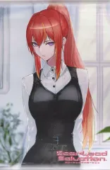 【中古】タペストリー ウィロ・マーティン(私服) B2タペストリー 「PS5ソフト スカーレッドサルベーション」 店舗共通絵柄特典