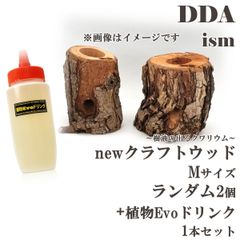 【DDA】樹液の出るクワリウム newクラフトウッド Mサイズ ランダム2個セット +植物Evoドリンク 1本セット dda クワガタ カブトムシ えさ皿 止まり木 登り木 クワガタゼリー カブトムシゼリー 昆虫ゼリー クワリウム