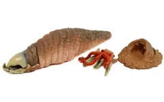 2026年最新】トレマーズ ガチャ シークレットの人気アイテム - メルカリ