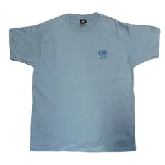 screen stars best Ｔシャツ　XLサイズ　シングルステッチ　90s 前期　USA ブルー　US古着　ビッグサイズ　両面プリント　バックプリント