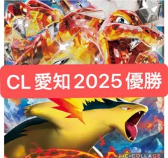 【デッキ販売】ヒビキのバクフーン+ノココッチ【スリーブ付き】 デッキ販売】ヒビキのバクフーン+ノココッチ