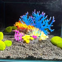 1pc人工珊瑚 假珊瑚海底 魚缸海底造景裝飾 矽膠裝飾品，具有發光效果，適用於魚缸景觀