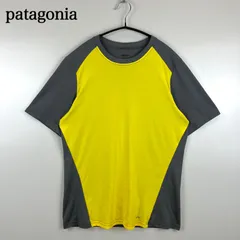 patagonia 00s 2001ss USA CAPILENE1 silkweight S/S Tee M パタゴニア キャプリーン１ シルクウェイト ドライ生地 半袖Tシャツ アメリカ製