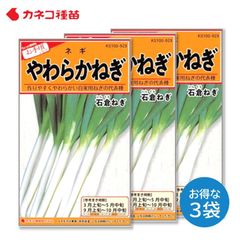 長ネギ 種 ３袋セット 手軽に作れる 寒さに強い やわらかい 太く伸びる 根深葱 石倉ネギ 野菜の種 畑 カネコ種苗