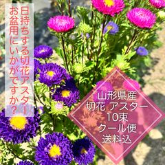 山形県産 アスター 切花 蝦夷菊 10束 クール便 仏花