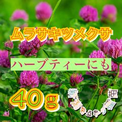 レッドクローバー