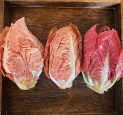 【要ご予約】トレビスローザ 約250g