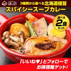 お湯ポチャ6分でお店の味！ 3種から選べる 北海道極旨スパイシー.スープカレー2食. 時短 レトルトカレー スパイス スパイスカレー チキン 角煮 シーフード 送料無料 食品 セット 詰め合わせ 札幌 訳あり お取り寄せグルメ 業務用【B】【★】