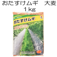 おたすけムギ 大麦（緑肥用）1kg【種】タキイ種苗　緑肥の種