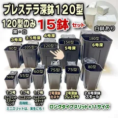 プレステラ深鉢120型(4号相当)- 黒/白/混色を選べる15鉢セット(硬質スリットポット・スリット鉢・ロングタイプ)＊多肉植物・塊根植物コーデックス・アガベ・サボテン・盆栽・観葉・ハオルチア・アデニウム・パキポディウム＊グラキリス・実生＠フラワーショップ江口のサムネイル