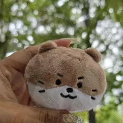 5種セット】SEVENTEEN PetiTEEN DINO ディノ 公式品 推し活