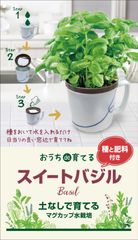 マグカップ水栽培　ハーブ野菜シリーズ「スィートバジル」（送料込）