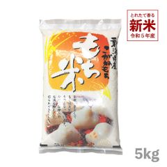 新米 新潟県産こがねもち5kg お米 令和5年産 白米