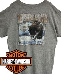ハーレーダビッドソン  半袖Tシャツ　メンズ 　希少バイソンプリント　グレー