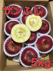 長野産 葉とらずサンふじ 秀品5kg