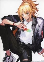 [중고] 캐릭터 카드 모드 레드 개념 예장 작가 신작 스페셜 상황 브로마이드 Vol.1 [극장판 Fate/Grand Order -신성원탁영역 카멜롯- 후편 Paladin; Agateram] 방문자 특전 1주차