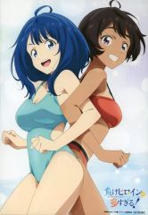 [중고] 잡화 야나미 안나 & 야키시오 몹신 신작 일러스트 캐릭터 파인 보드 [Blu-ray / DVD 잃어 히로인이 너무 많다!] Amazon.co.jp 전권 구입 특전